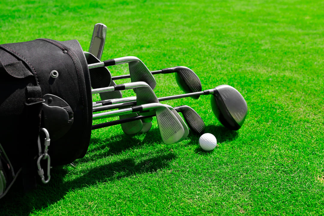 Bolsas Golfe