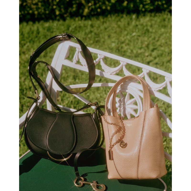 Bolsa Shopper Spin Mini in Grained Calfskin