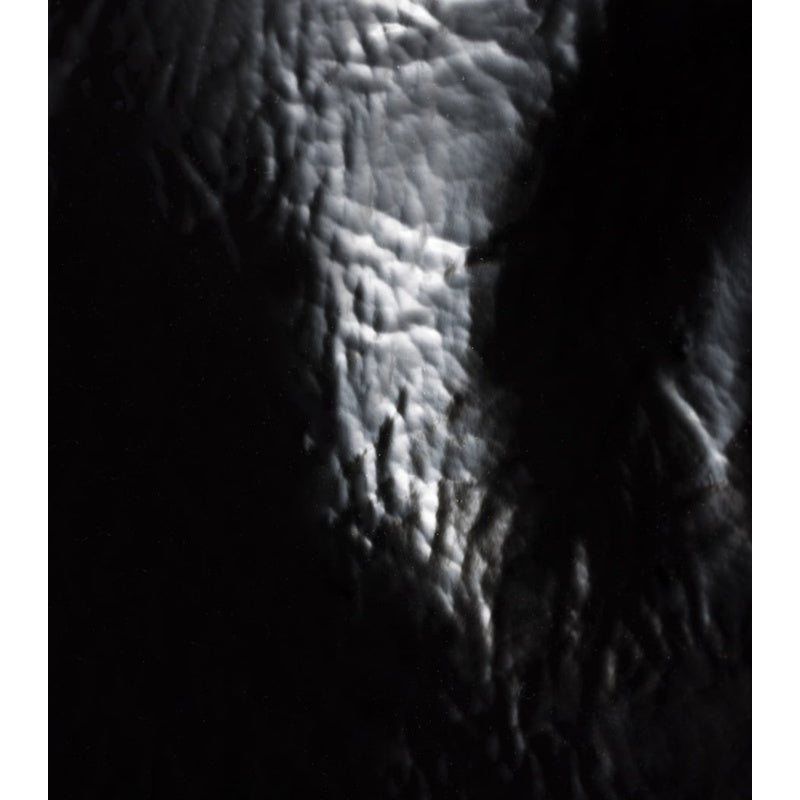 Bolsa Tote Patent Naplak Ivy