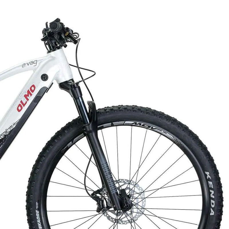 Bicicleta elétrica de MTB E-Vag 29´´ NX Eagle 2024 - Mercado de Luxo - O Maior E-Commerce de Bens, Produtos e Serviços de Luxo do Brasil.