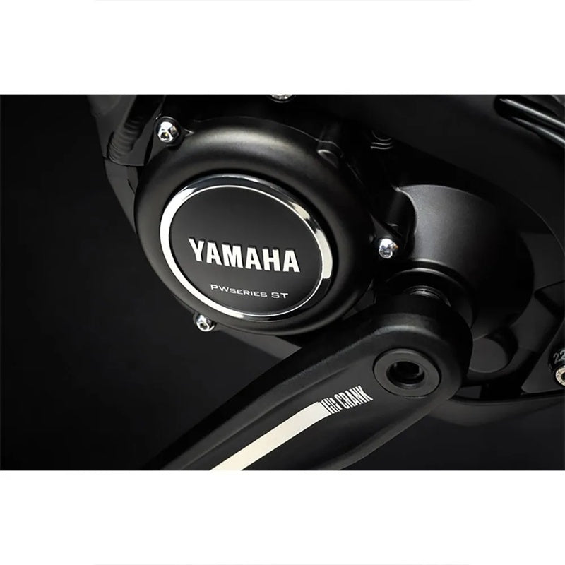 Bicicleta elétrica de MTB Alltrail 6 29´´ - Mercado de Luxo - O Maior E-Commerce de Bens, Produtos e Serviços de Luxo do Brasil.