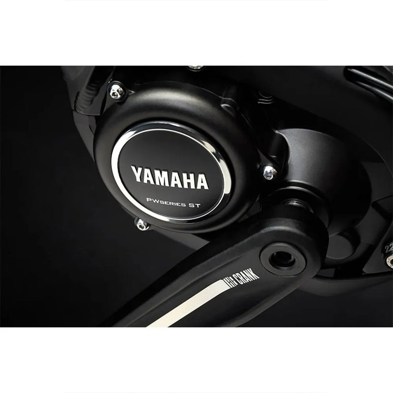 Bicicleta elétrica de MTB Alltrail 6 29´´ - Mercado de Luxo - O Maior E-Commerce de Bens, Produtos e Serviços de Luxo do Brasil.