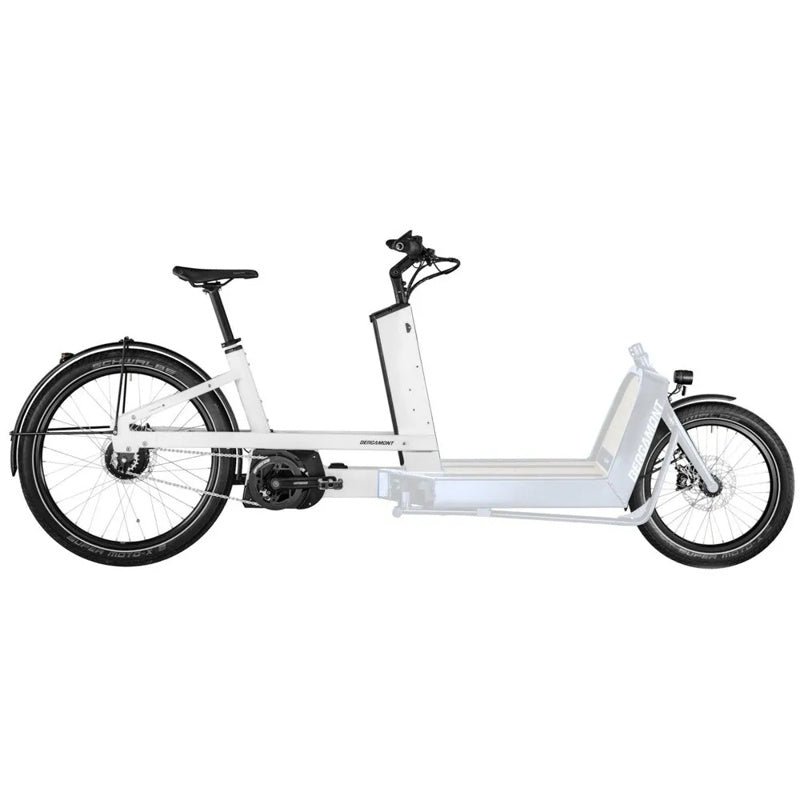 Bicicleta elétrica E-Cargoville LJ Expert 20/26´´ 2022 - Mercado de Luxo - O Maior E-Commerce de Bens, Produtos e Serviços de Luxo do Brasil.