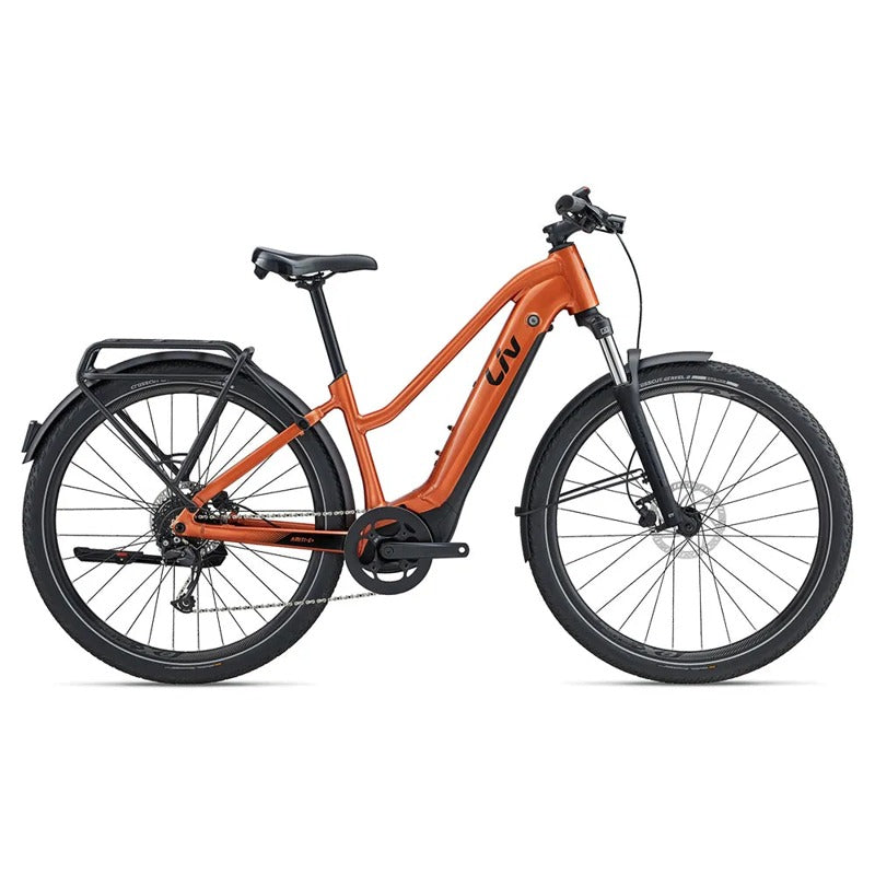 Bicicleta elétrica Amiti-E+ 2 2024 - Mercado de Luxo - O Maior E-Commerce de Bens, Produtos e Serviços de Luxo do Brasil.