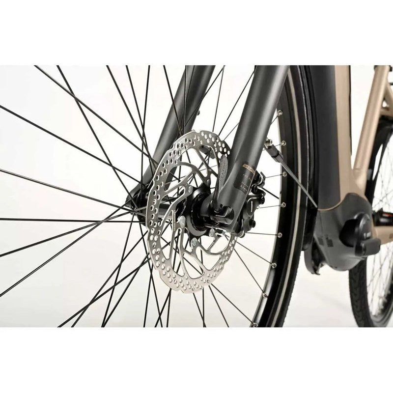 Bicicleta elétrica Tria N8f E Nexus 2024 - Mercado de Luxo - O Maior E-Commerce de Bens, Produtos e Serviços de Luxo do Brasil.