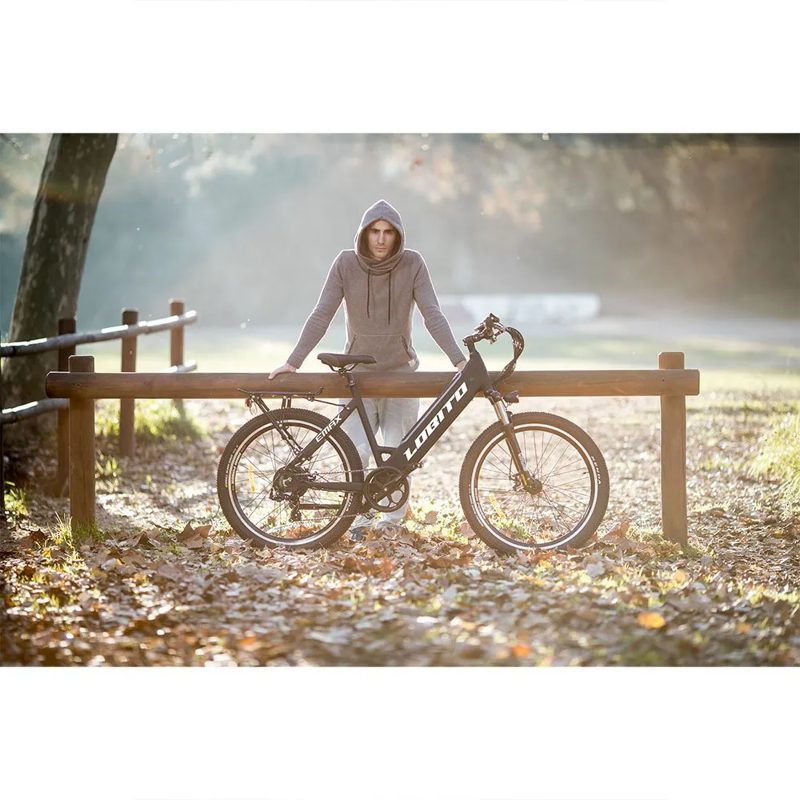 Bicicleta elétrica Emax 26´´ - Mercado de Luxo - O Maior E-Commerce de Bens, Produtos e Serviços de Luxo do Brasil.