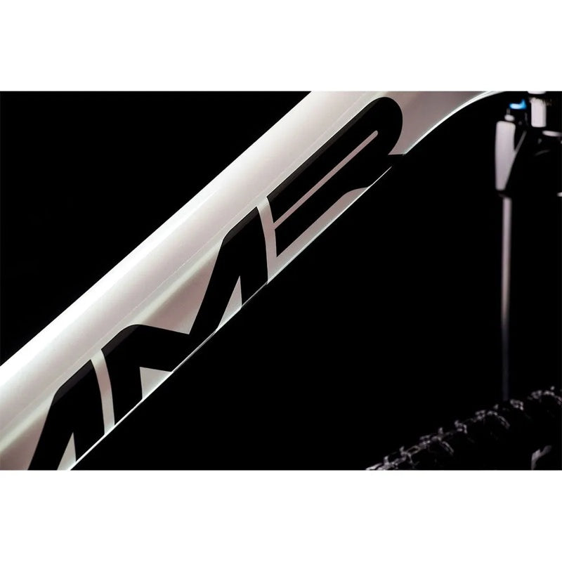 Bicicleta de MTB Rakish 00 29´´ GX AXS Eagle 2023 - Mercado de Luxo - O Maior E-Commerce de Bens, Produtos e Serviços de Luxo do Brasil.