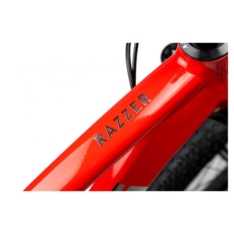 Bicicleta de MTB Razzer Evo 1 29´´ XT RD-M8100 2024 - Mercado de Luxo - O Maior E-Commerce de Bens, Produtos e Serviços de Luxo do Brasil.