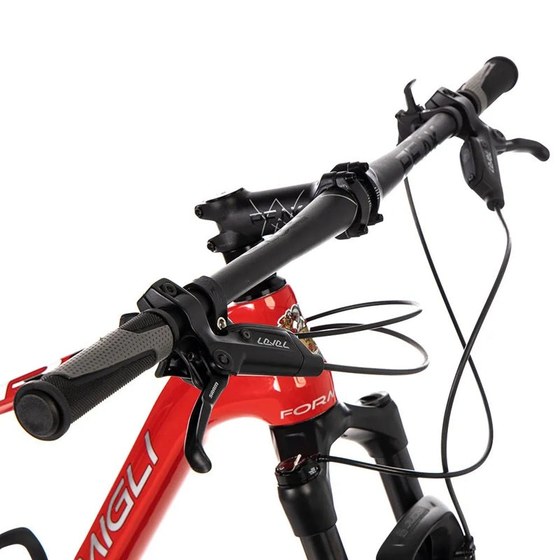Bicicleta de MTB R1 Carbon 29´´ - Mercado de Luxo - O Maior E-Commerce de Bens, Produtos e Serviços de Luxo do Brasil.