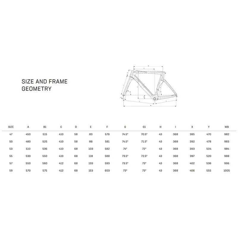 Quadro de estrada Oltre Pro Disc 2023 - Mercado de Luxo - O Maior E-Commerce de Bens, Produtos e Serviços de Luxo do Brasil.