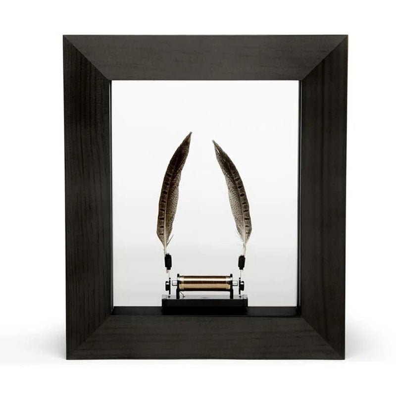 Luminária de Penas Slow Dance By Jeff Lieberman - Mercado de Luxo - O Maior E-Commerce de Bens, Produtos e Serviços de Luxo do Brasil.