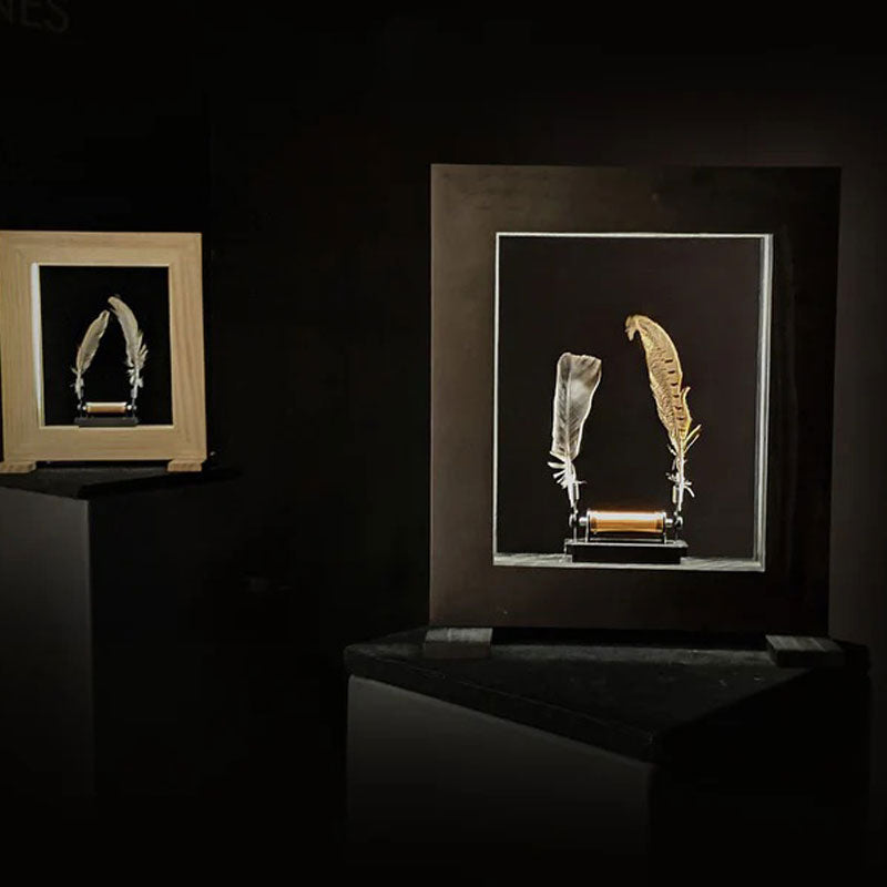 Luminária de Penas Slow Dance By Jeff Lieberman - Mercado de Luxo - O Maior E-Commerce de Bens, Produtos e Serviços de Luxo do Brasil.