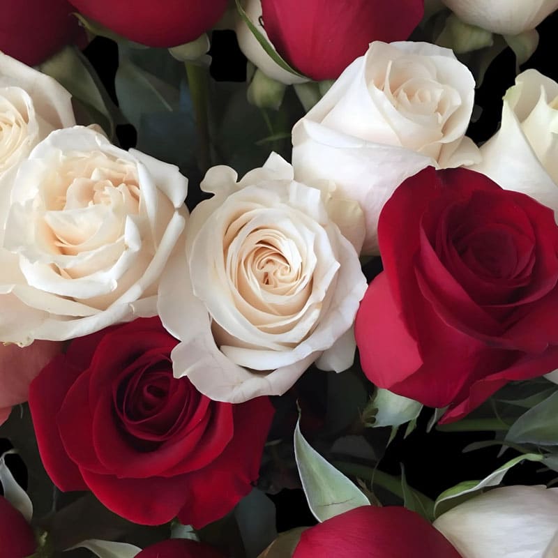 Pílula Refil para Mini Roda Purificador de Ar 3 Unidades - Cereja, Floral e Cítrico - Mercado de Luxo - O Maior E-Commerce de Bens, Produtos e Serviços de Luxo do Brasil.