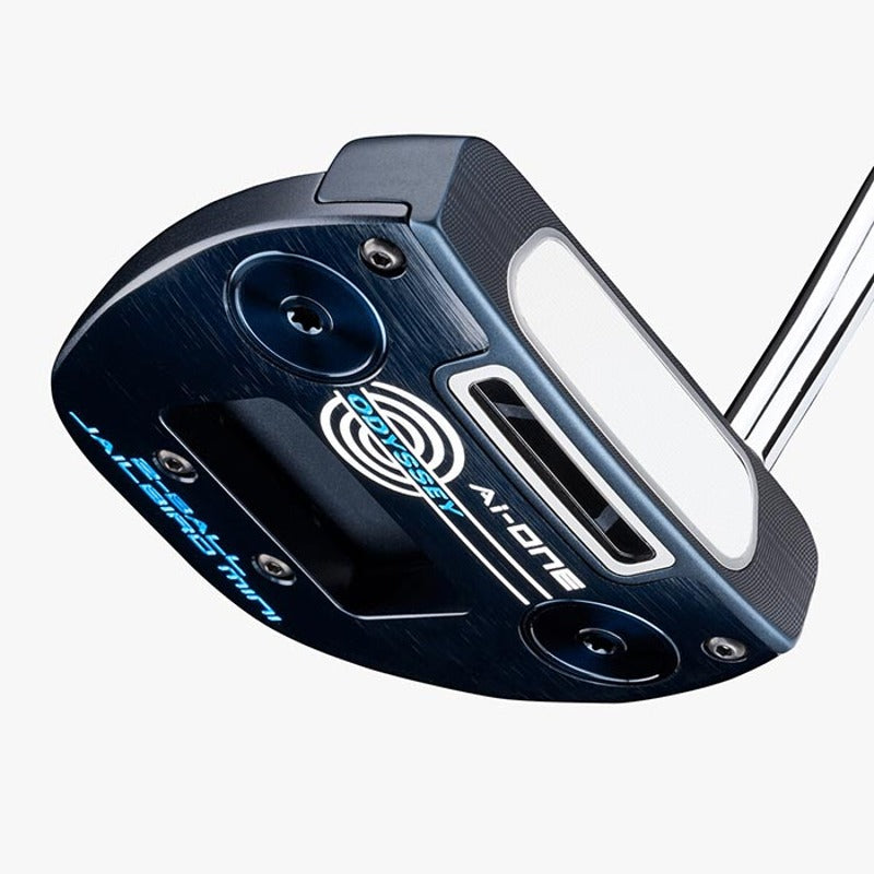 Taco Putter Ai-One 2-Ball Jailbird Mini DB - Mercado de Luxo - O Maior E-Commerce de Bens, Produtos e Serviços de Luxo do Brasil.