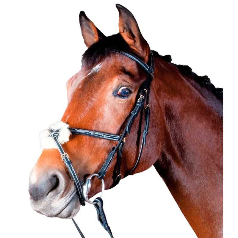 Cabeçada de cavalo Kessel bridle with triple & cross noseband - Mercado de Luxo - O Maior E-Commerce de Bens, Produtos e Serviços de Luxo do Brasil.