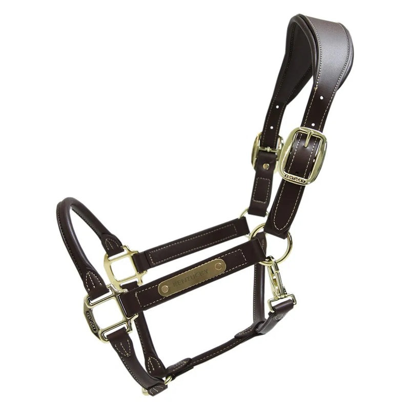 Halter Leather Anatomic - Mercado de Luxo - O Maior E-Commerce de Bens, Produtos e Serviços de Luxo do Brasil.