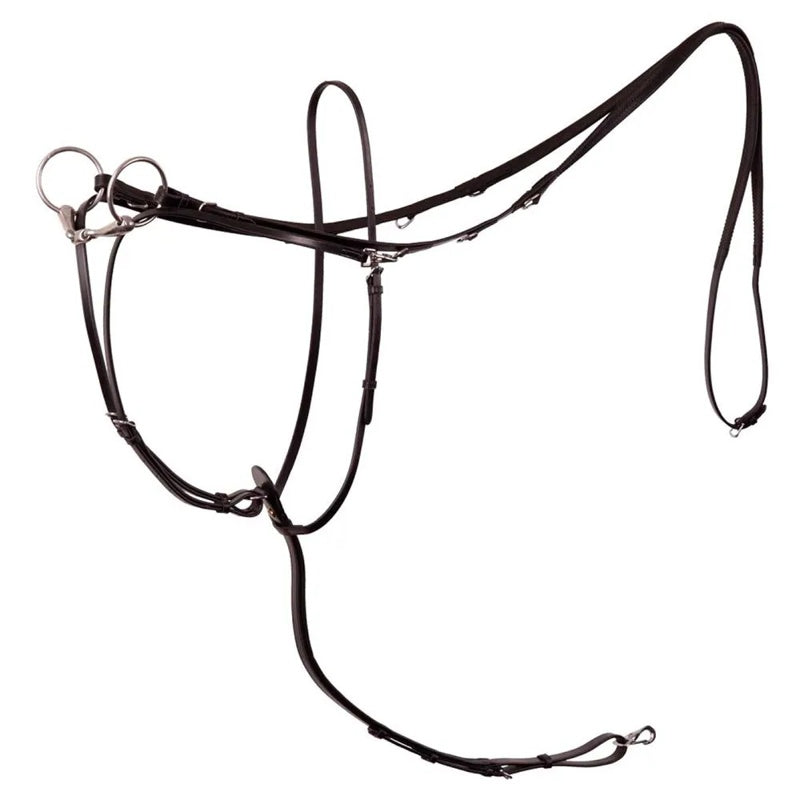 Martingale Thiedemannn Lancaster With Reins - Mercado de Luxo - O Maior E-Commerce de Bens, Produtos e Serviços de Luxo do Brasil.