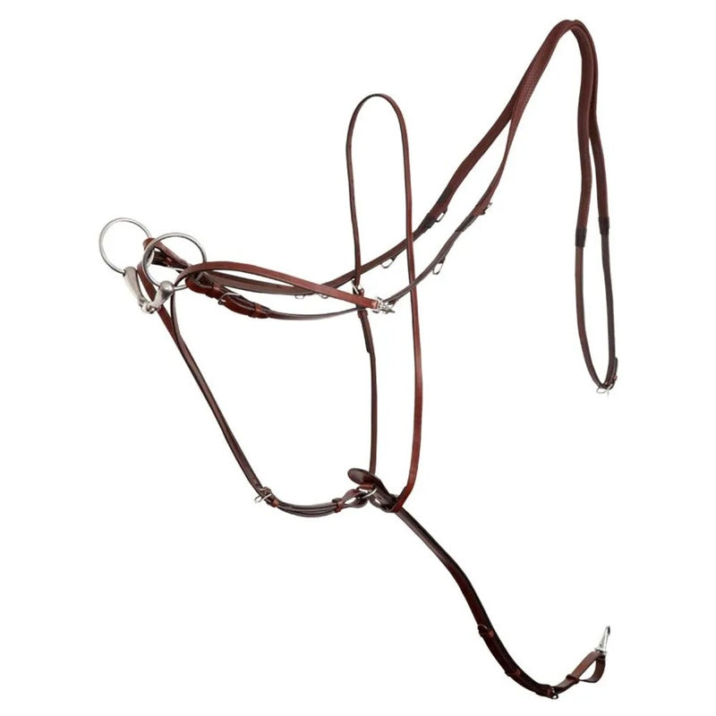 Martingale Thiedemannn Lancaster With Reins - Mercado de Luxo - O Maior E-Commerce de Bens, Produtos e Serviços de Luxo do Brasil.