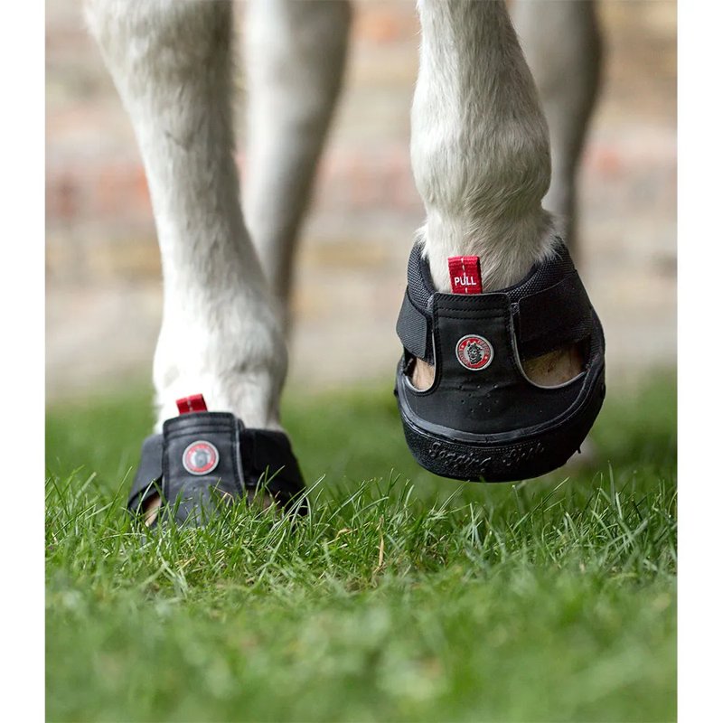 fusion Campanas para cavalo Trekking - Mercado de Luxo - O Maior E-Commerce de Bens, Produtos e Serviços de Luxo do Brasil.