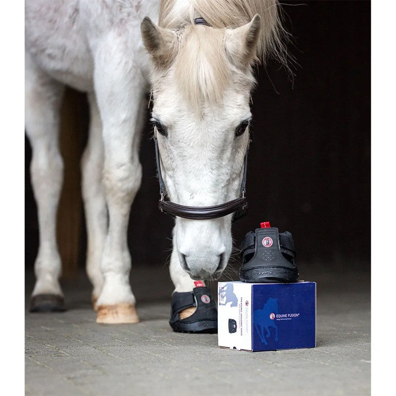 fusion Campanas para cavalo Trekking - Mercado de Luxo - O Maior E-Commerce de Bens, Produtos e Serviços de Luxo do Brasil.