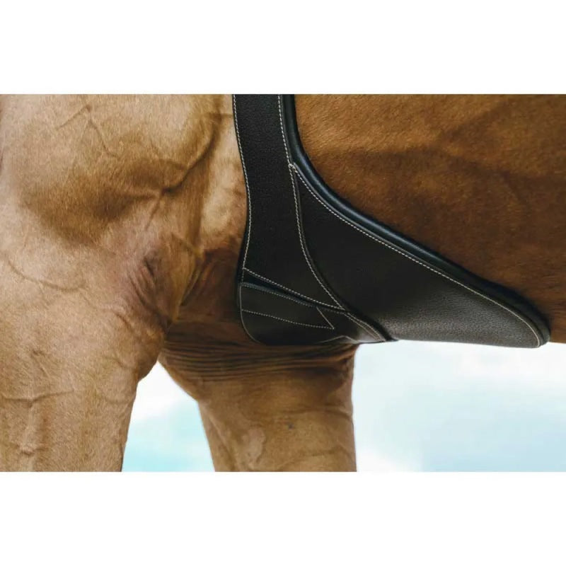 Cinchas Magnet Belly Protector - Mercado de Luxo - O Maior E-Commerce de Bens, Produtos e Serviços de Luxo do Brasil.