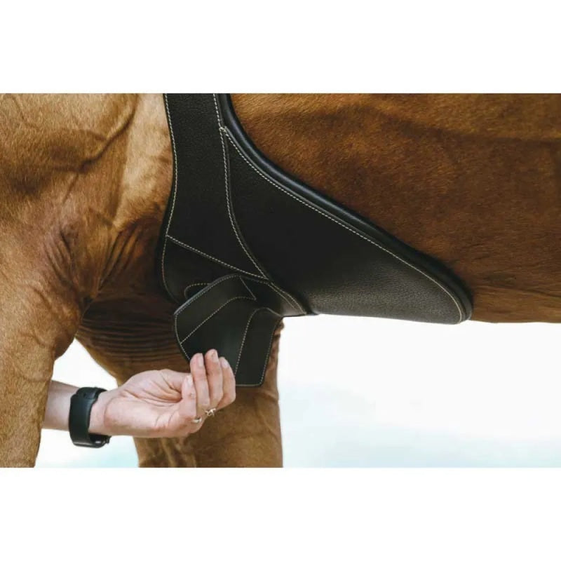 Cinchas Magnet Belly Protector - Mercado de Luxo - O Maior E-Commerce de Bens, Produtos e Serviços de Luxo do Brasil.