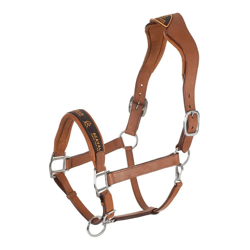 Cabrestro Ergonomic - Mercado de Luxo - O Maior E-Commerce de Bens, Produtos e Serviços de Luxo do Brasil.
