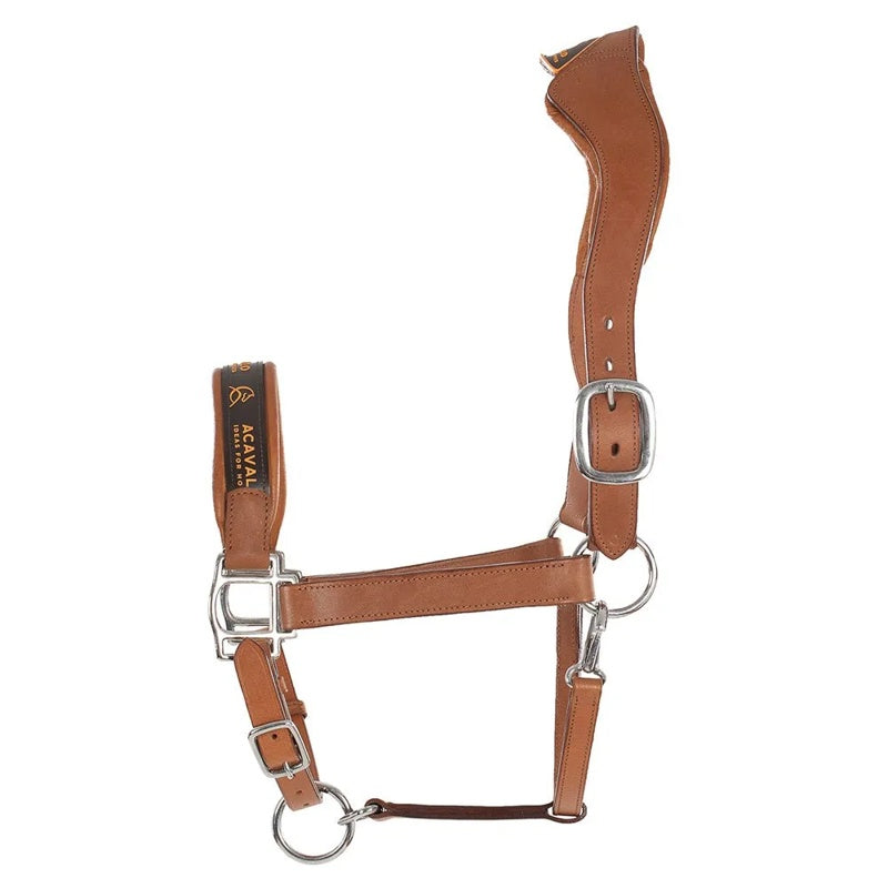 Cabrestro Ergonomic - Mercado de Luxo - O Maior E-Commerce de Bens, Produtos e Serviços de Luxo do Brasil.