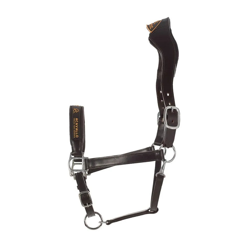 Cabrestro Ergonomic - Mercado de Luxo - O Maior E-Commerce de Bens, Produtos e Serviços de Luxo do Brasil.