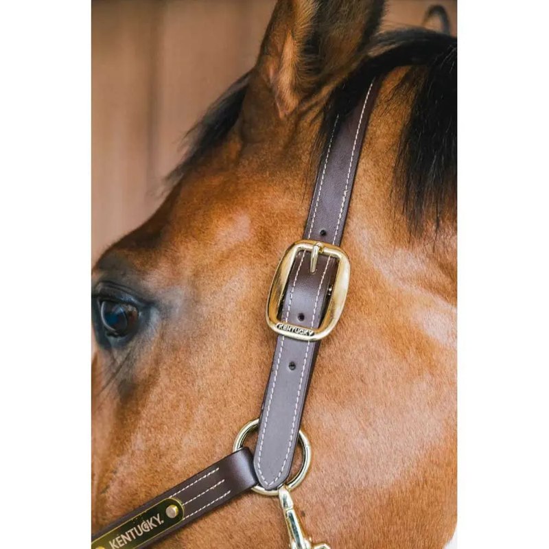 Halter Wellington - Mercado de Luxo - O Maior E-Commerce de Bens, Produtos e Serviços de Luxo do Brasil.