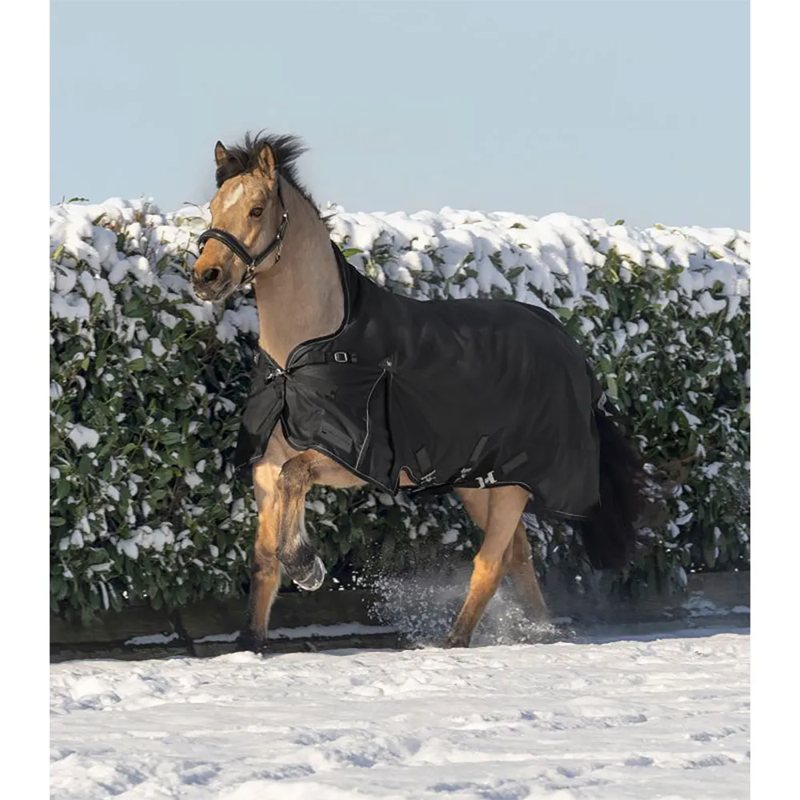 Cobertor de pescoço alto para cavalo 100g Scandic - Mercado de Luxo - O Maior E-Commerce de Bens, Produtos e Serviços de Luxo do Brasil.