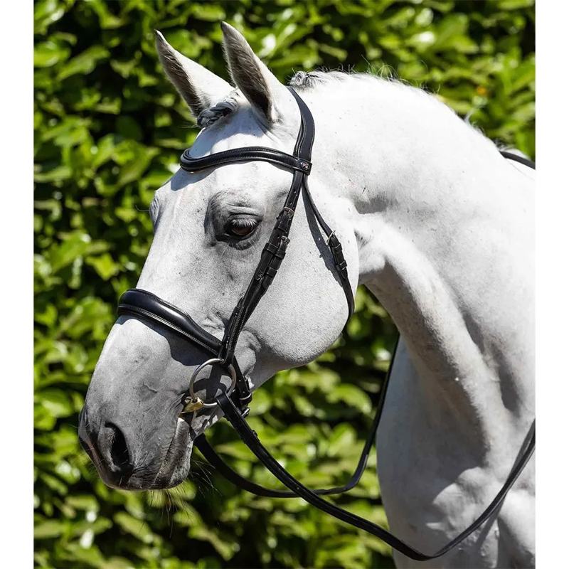 Cabeçada Verdura Anatomic Snaffle - Mercado de Luxo - O Maior E-Commerce de Bens, Produtos e Serviços de Luxo do Brasil.