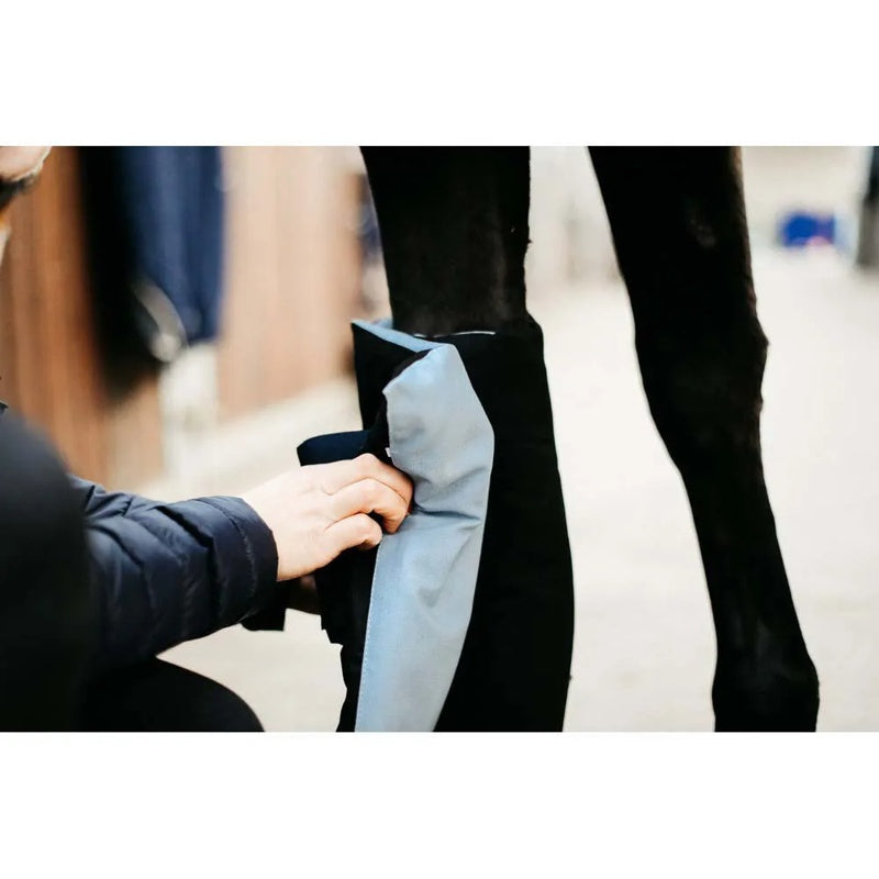 Almofada para ligadura de cavalo Recuptex Magnetic 2 unidades - Mercado de Luxo - O Maior E-Commerce de Bens, Produtos e Serviços de Luxo do Brasil.