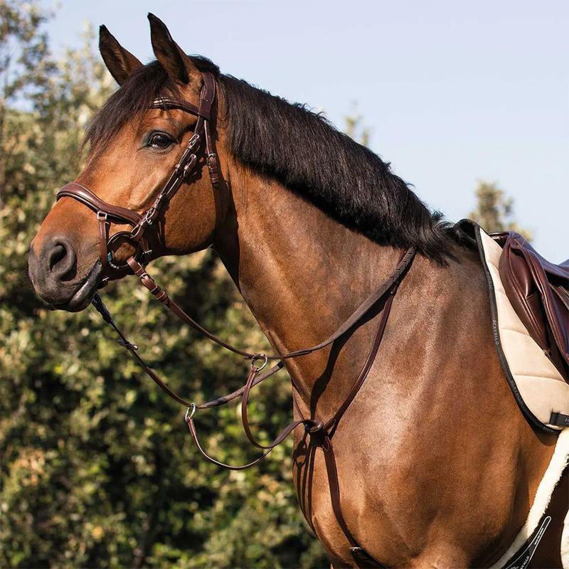 Martingale Calfskin - Mercado de Luxo - O Maior E-Commerce de Bens, Produtos e Serviços de Luxo do Brasil.