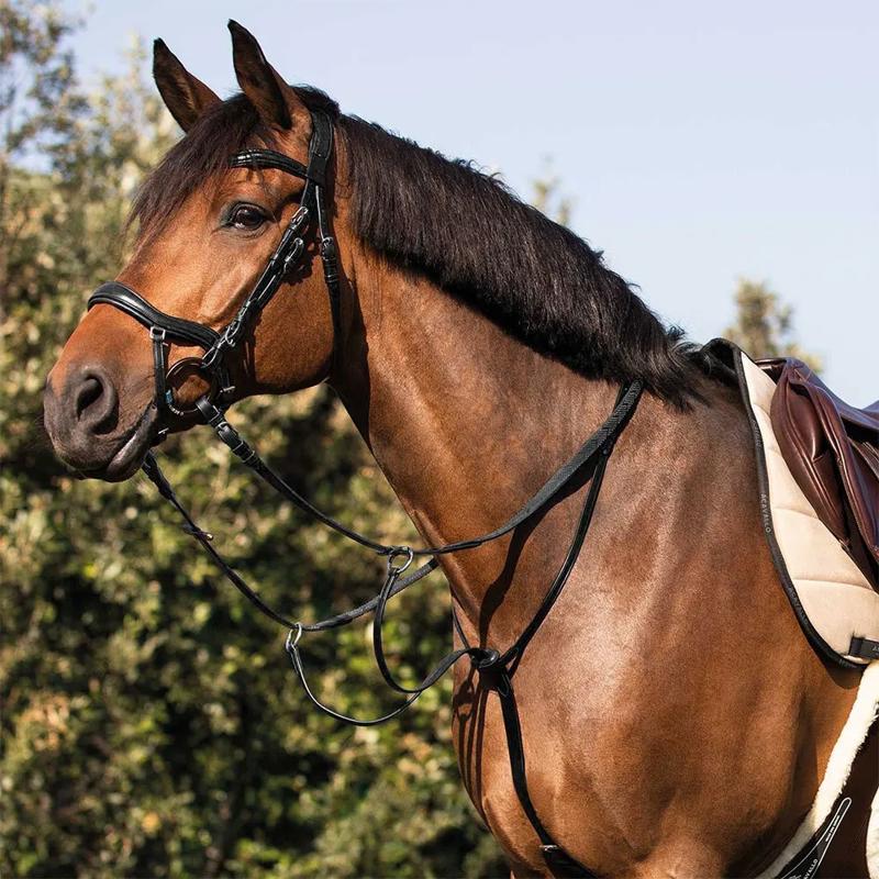 Martingale Calfskin - Mercado de Luxo - O Maior E-Commerce de Bens, Produtos e Serviços de Luxo do Brasil.