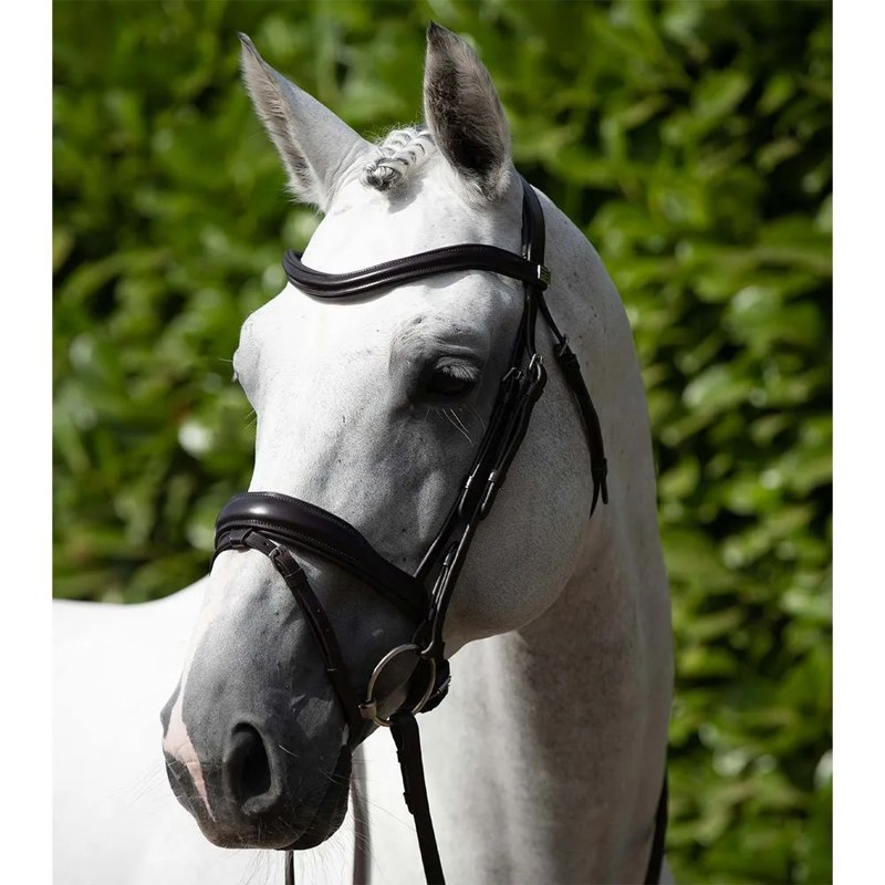 Cabeçada Rizzo Anatomic Snaffle with Flash - Mercado de Luxo - O Maior E-Commerce de Bens, Produtos e Serviços de Luxo do Brasil.