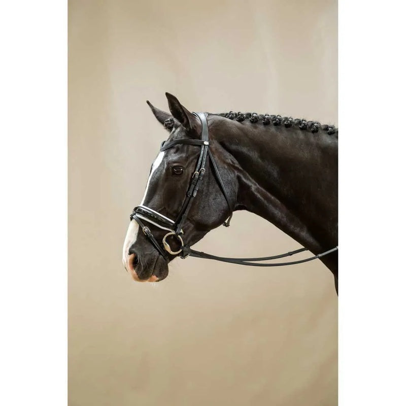 Focinheira Large crank bridle with padding and flash - Mercado de Luxo - O Maior E-Commerce de Bens, Produtos e Serviços de Luxo do Brasil.