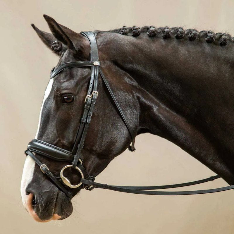Focinheira Working Collection matte large crank bridle with flash - Mercado de Luxo - O Maior E-Commerce de Bens, Produtos e Serviços de Luxo do Brasil.