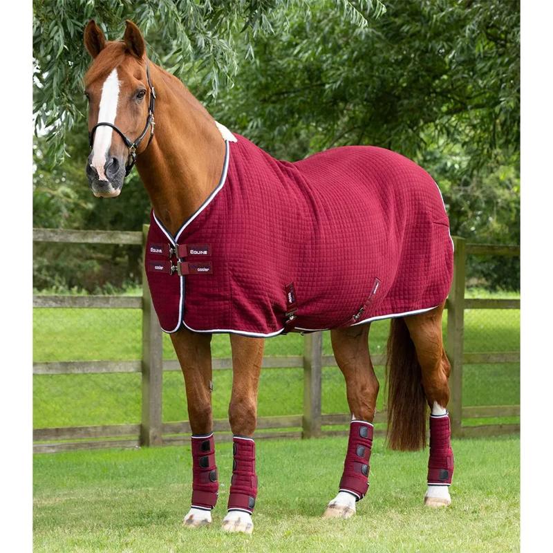 Manta para cavalo Premtex Cooler - Mercado de Luxo - O Maior E-Commerce de Bens, Produtos e Serviços de Luxo do Brasil.