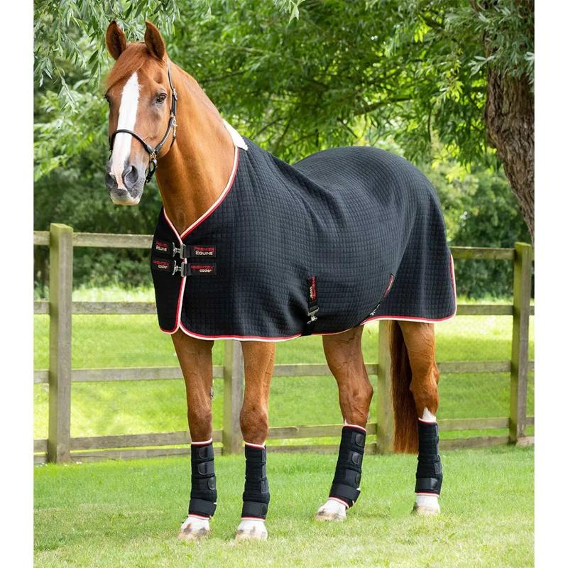 Manta para cavalo Premtex Cooler - Mercado de Luxo - O Maior E-Commerce de Bens, Produtos e Serviços de Luxo do Brasil.