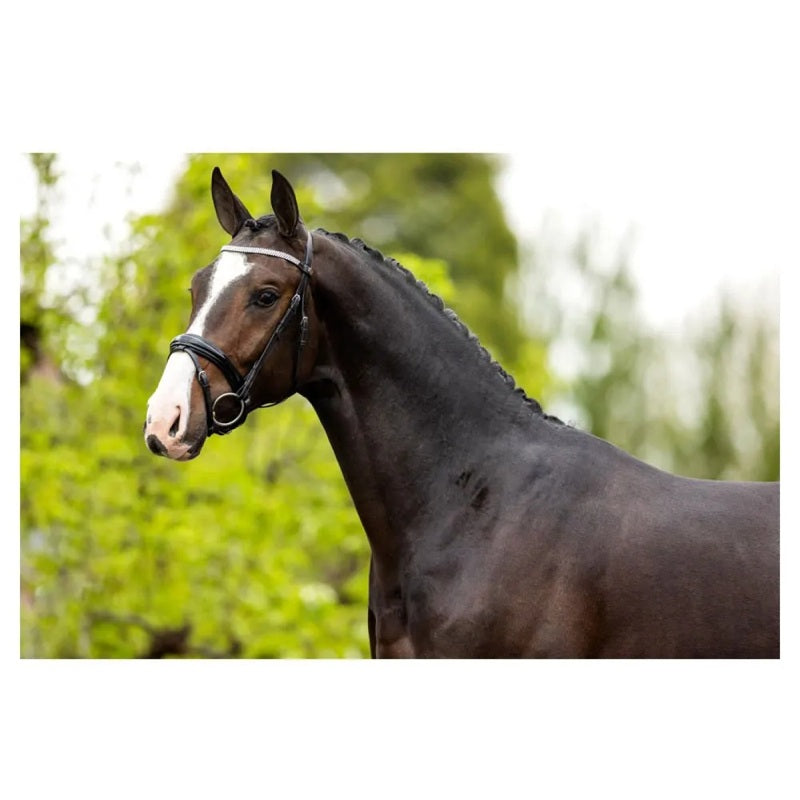 Cabeçada Windermere - Mercado de Luxo - O Maior E-Commerce de Bens, Produtos e Serviços de Luxo do Brasil.