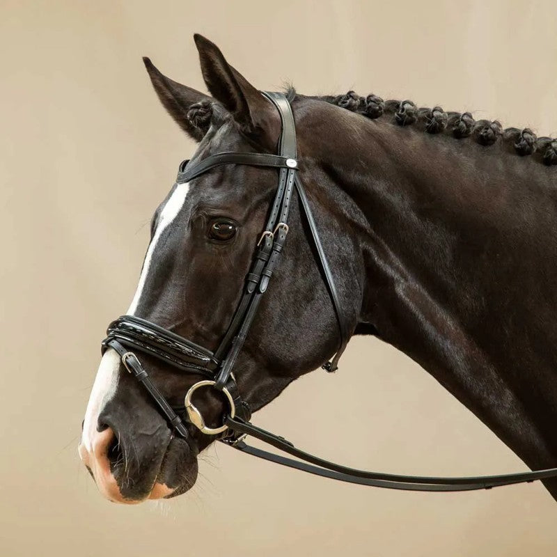 Focinheira Working Collection patent leather large crank bridle with flash - Mercado de Luxo - O Maior E-Commerce de Bens, Produtos e Serviços de Luxo do Brasil.