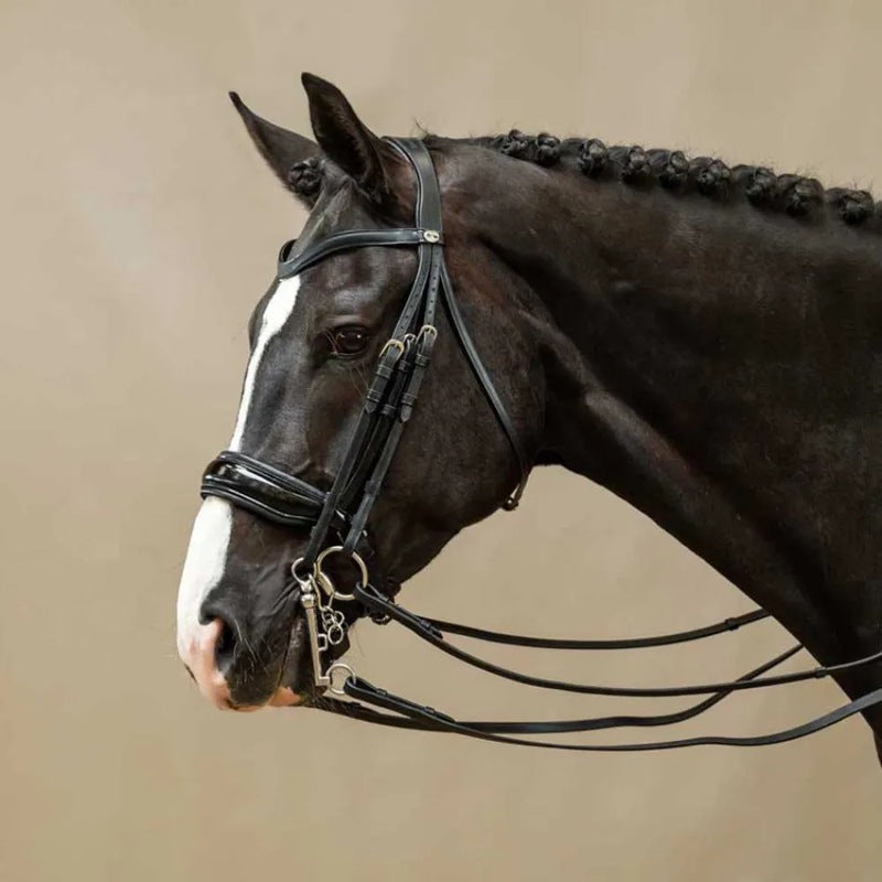 Focinheira Working Collection patent leather large crank double bridle - Mercado de Luxo - O Maior E-Commerce de Bens, Produtos e Serviços de Luxo do Brasil.