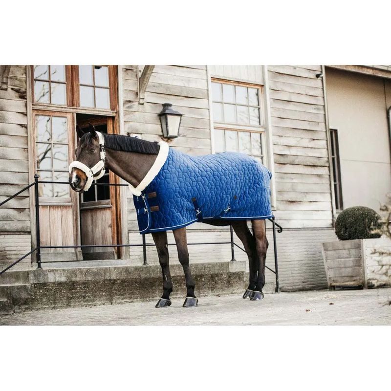 Manta de exibição para cavalos 160g Velvet - Mercado de Luxo - O Maior E-Commerce de Bens, Produtos e Serviços de Luxo do Brasil.