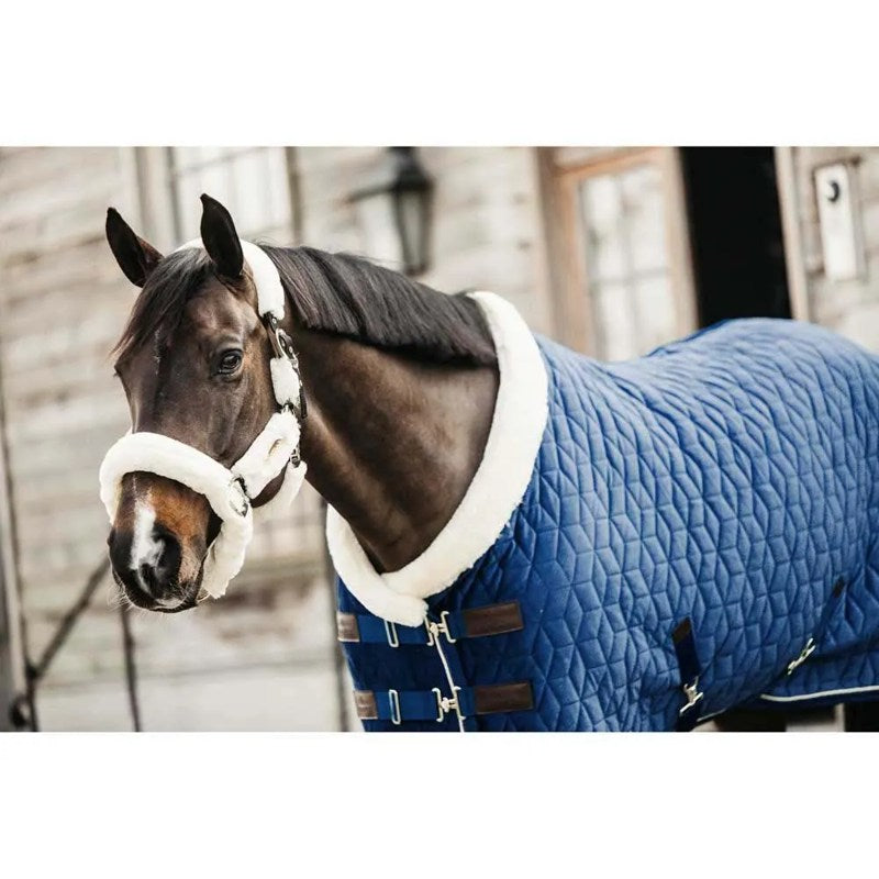 Manta de exibição para cavalos 160g Velvet - Mercado de Luxo - O Maior E-Commerce de Bens, Produtos e Serviços de Luxo do Brasil.