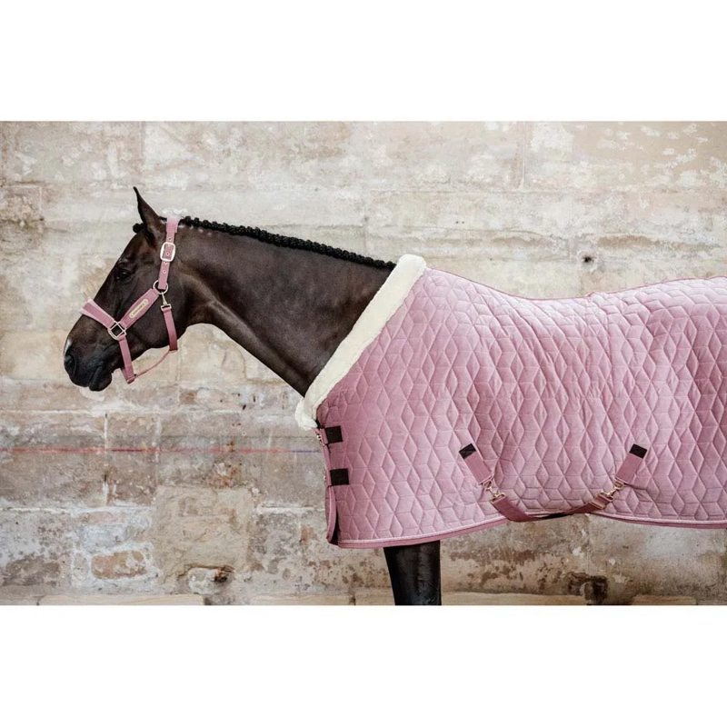 Manta de exibição para cavalos 160g Velvet - Mercado de Luxo - O Maior E-Commerce de Bens, Produtos e Serviços de Luxo do Brasil.