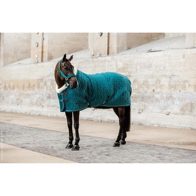 Manta de exibição para cavalos 160g Velvet - Mercado de Luxo - O Maior E-Commerce de Bens, Produtos e Serviços de Luxo do Brasil.