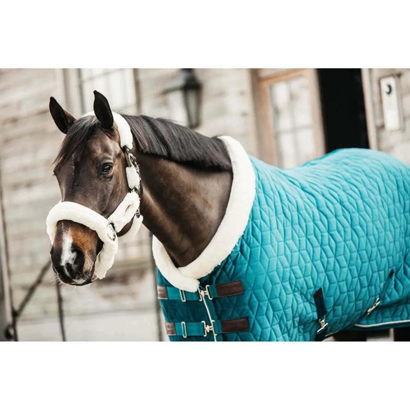 Manta de exibição para cavalos 160g Velvet - Mercado de Luxo - O Maior E-Commerce de Bens, Produtos e Serviços de Luxo do Brasil.