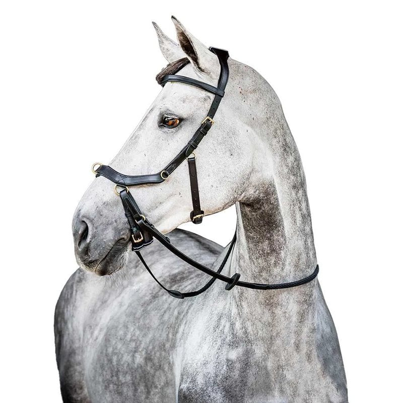 Cabeçada Inglesa Micklem 2 Multibridle - Mercado de Luxo - O Maior E-Commerce de Bens, Produtos e Serviços de Luxo do Brasil.