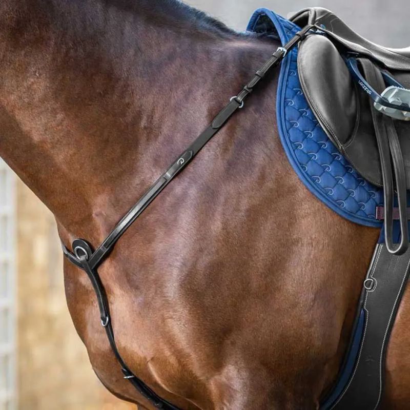 Peitoral de cavallo New English Collection - Mercado de Luxo - O Maior E-Commerce de Bens, Produtos e Serviços de Luxo do Brasil.